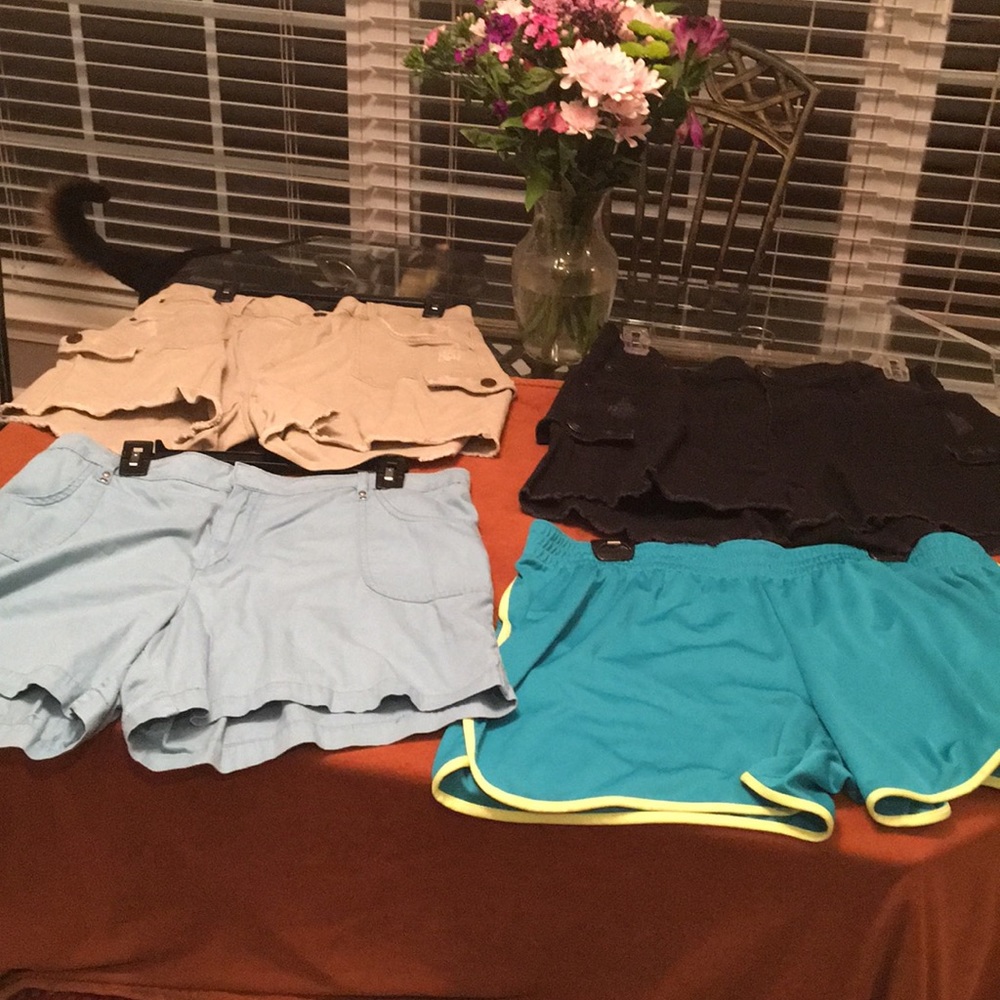 Tried and true, Lee , Championtank 2 tops size 2x